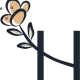 haptonomie